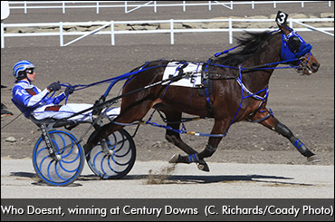 Who Doesnt Aims For 14 Straight