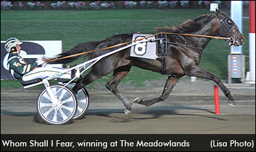 Whom Shall I Fear To Stand Stud