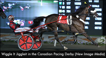 Setback For Wiggle It Jiggleit