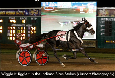 Wiggle It Jiggleit Wins Sires Stakes Final
