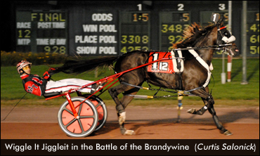 Stars Out For Super Stakes Saturday
