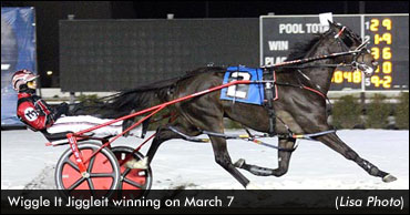 Wiggle It Jiggleit Makes A Statement