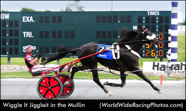 Wiggle It Jiggleit Dazzles In Mullin