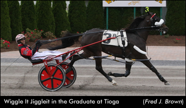 Wiggle It Jiggleit Romps In Graduate