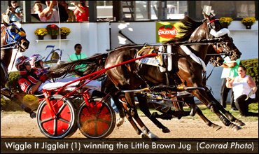 Meet Wiggle It Jiggleit At The Jug