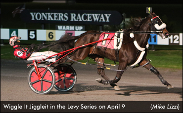 Stars Shine In Levy Series