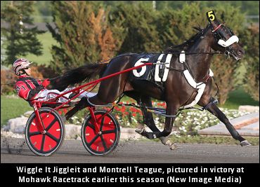 Teague Discusses Wiggle It Jiggleit