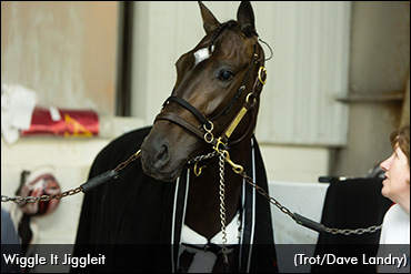 Wiggle It Jiggleit Back In To Go