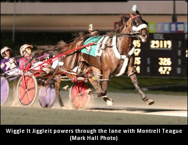 Wiggle It Jiggleit Is Crown-Bound Wiggle It Jiggleit Is Crown-Bound