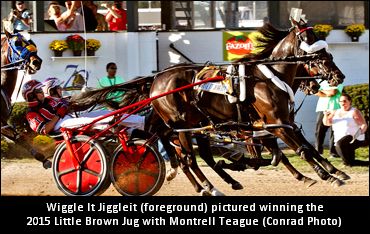 Wiggle It Jiggleit Qualifies Again