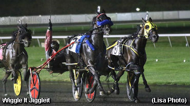 Dan Patch To Wiggle It Jiggleit