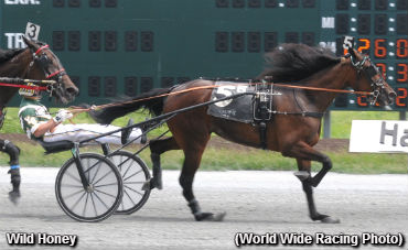 Stakes Double For Takter Trainees Stakes Double For Takter Trainees