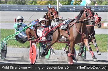 Wild River Swan Wins Wild Preferred