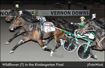 Wildflower In 91-1 Kindergarten Upset