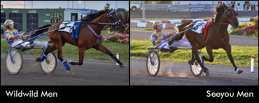 Siblings Favoured In Quebec Finals