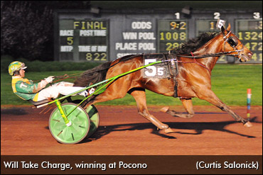 A 'Take-Charge' Kind Of Horse