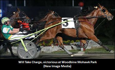 Will Take Charge Surfaces