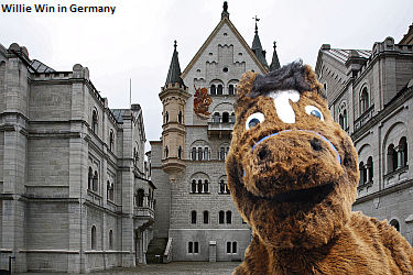 Details For Newfoundland Youth Camp