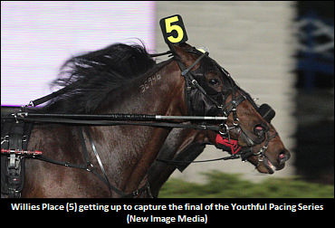 Di Cenzo On Willies Place 