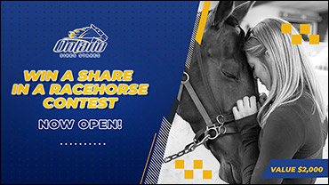 Win A Share In A Racehorse Contest Open