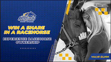 Win A Share In A Racehorse!