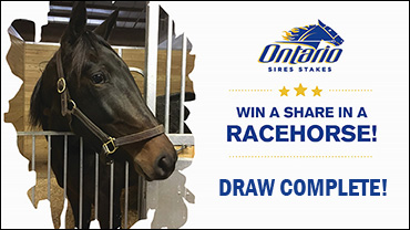 Horses Drawn For Win A Share Finalists