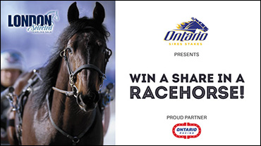 Win A Share In A Racehorse!