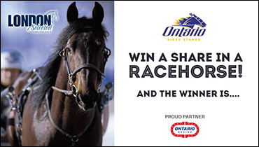 Johnson Wins Share In A Racehorse