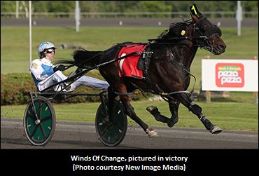 Winds Of Change Retired, To Stud
