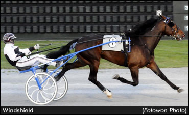 Windshield Sweeps His DSBF Finals