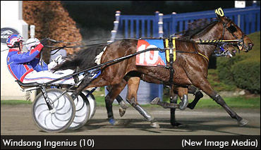 Windsong Ingenius Plays Giant Killer