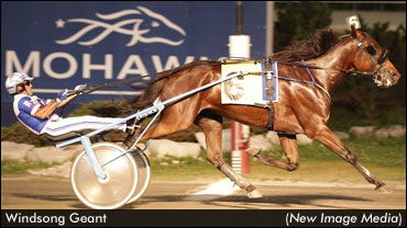 Windsong Geant Arrives In Europe