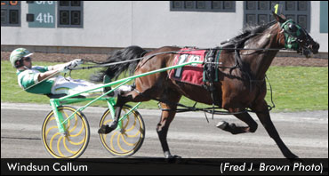 Byron & Windsun Callum Win Tioga Open