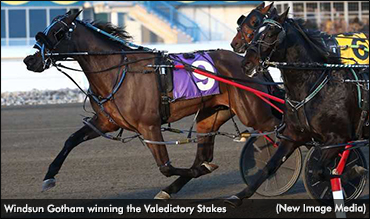 Niagara, Valedictory Cap Woodbine Season