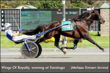 Wings Of Royalty Retired, To Stud