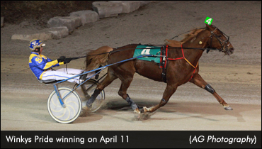 Winkys Pride Wires Preferred Trotters