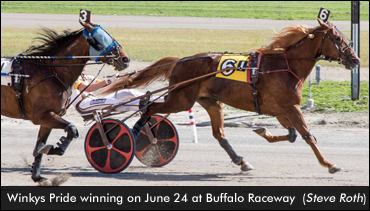 Winkys Pride Breaks Own Track Record