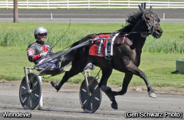  Stakes Doubles For Miller, Smedshammer