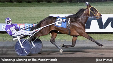 Winnerup Tops Fall Speed Sale