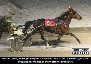 Broodmare Thrives When Given Chance