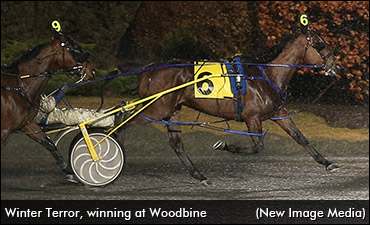 Mare Wins, Foal Qualifies Hours Apart