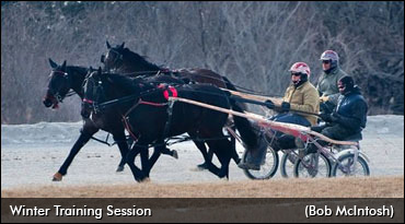 Canada's 2021 Two-Year-Olds In Training