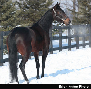 Horsemen On Coping With Weather Woes