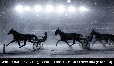 No Training At Woodbine Today