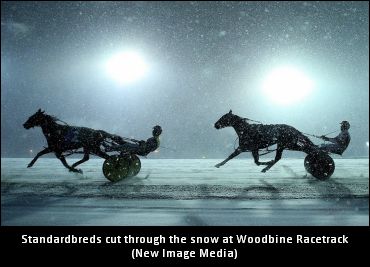 Winter Series Takeover At Woodbine