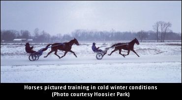 Tuesday Training, Racing Cancellations