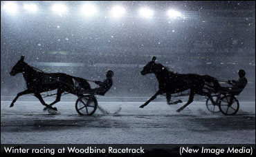 Winter Wonderland To Hit Woodbine 