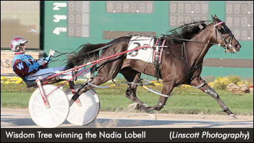 Wisdom Tree Sets Record In Nadia Lobell