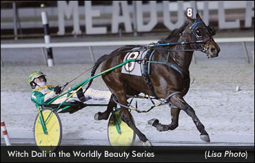 Lindys Tru Grit Trots To The Top; Witch Dali Perfect In Series Action