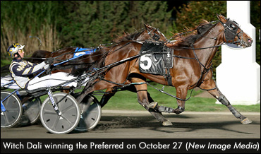 No Tricks, Just Treats For Witch Dali